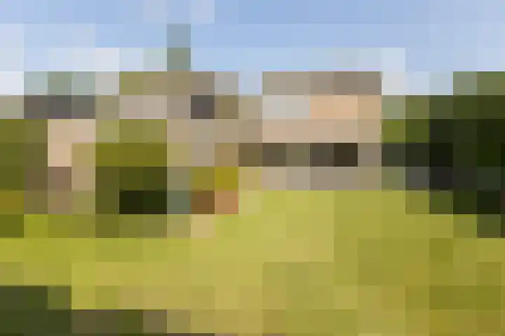 Kamperfoelielaan 65 Berkel-Enschot thumbnail 16