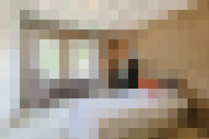 Kamperfoelielaan 65 Berkel-Enschot thumbnail 30
