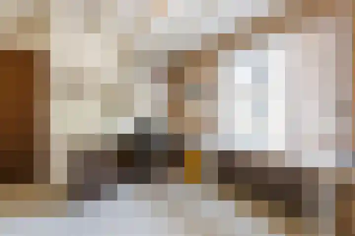 Kamperfoelielaan 65 Berkel-Enschot thumbnail 32
