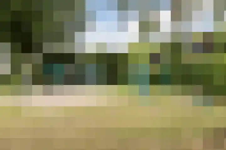 Kamperfoelielaan 65 Berkel-Enschot thumbnail 36