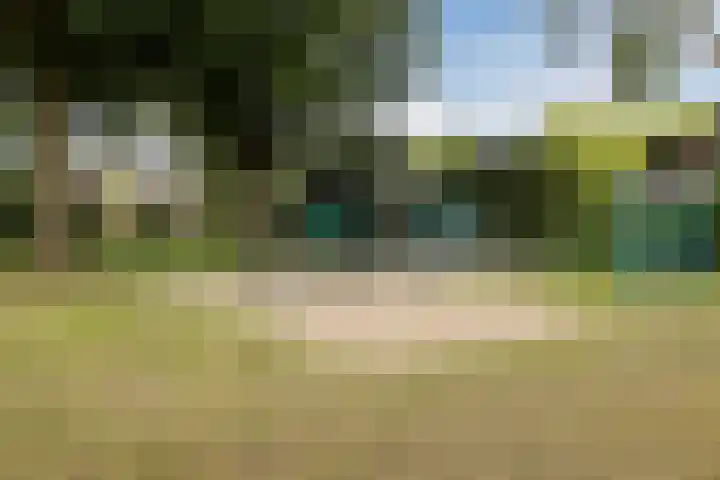 Kamperfoelielaan 65 Berkel-Enschot thumbnail 37