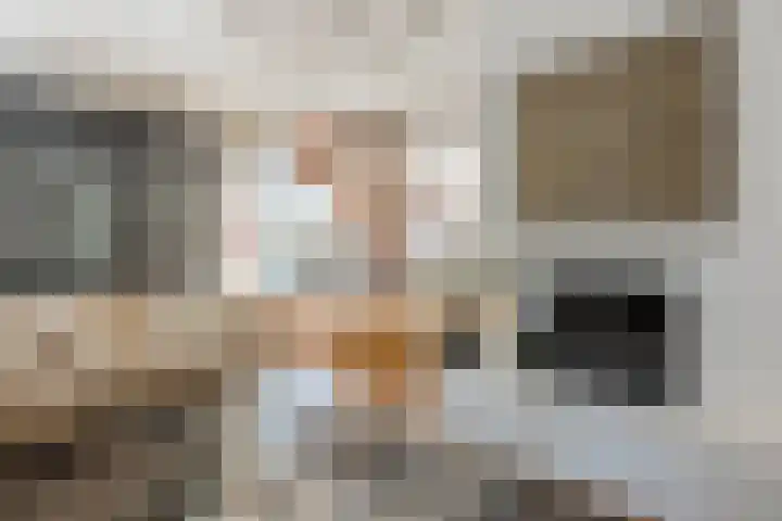 Kamperfoelielaan 65 Berkel-Enschot thumbnail 8