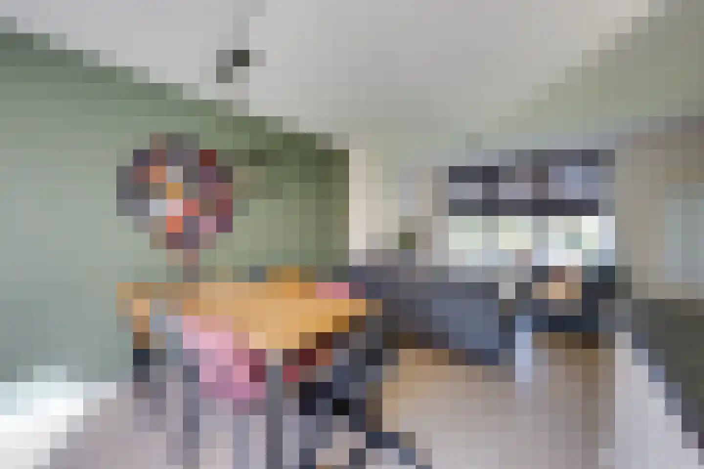 Kamperfoelielaan 7 Berkel-Enschot thumbnail 14