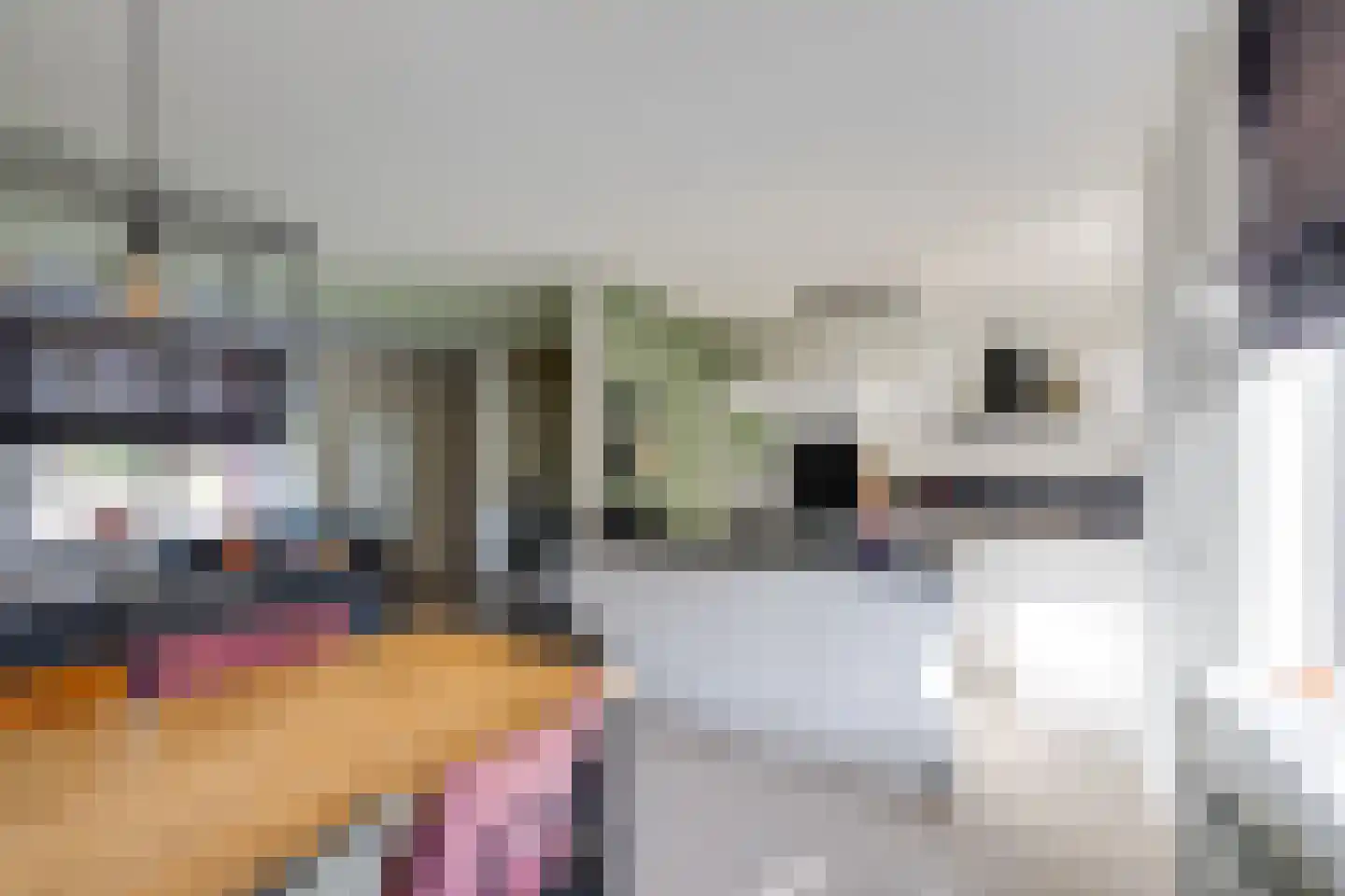Kamperfoelielaan 7 Berkel-Enschot thumbnail 16