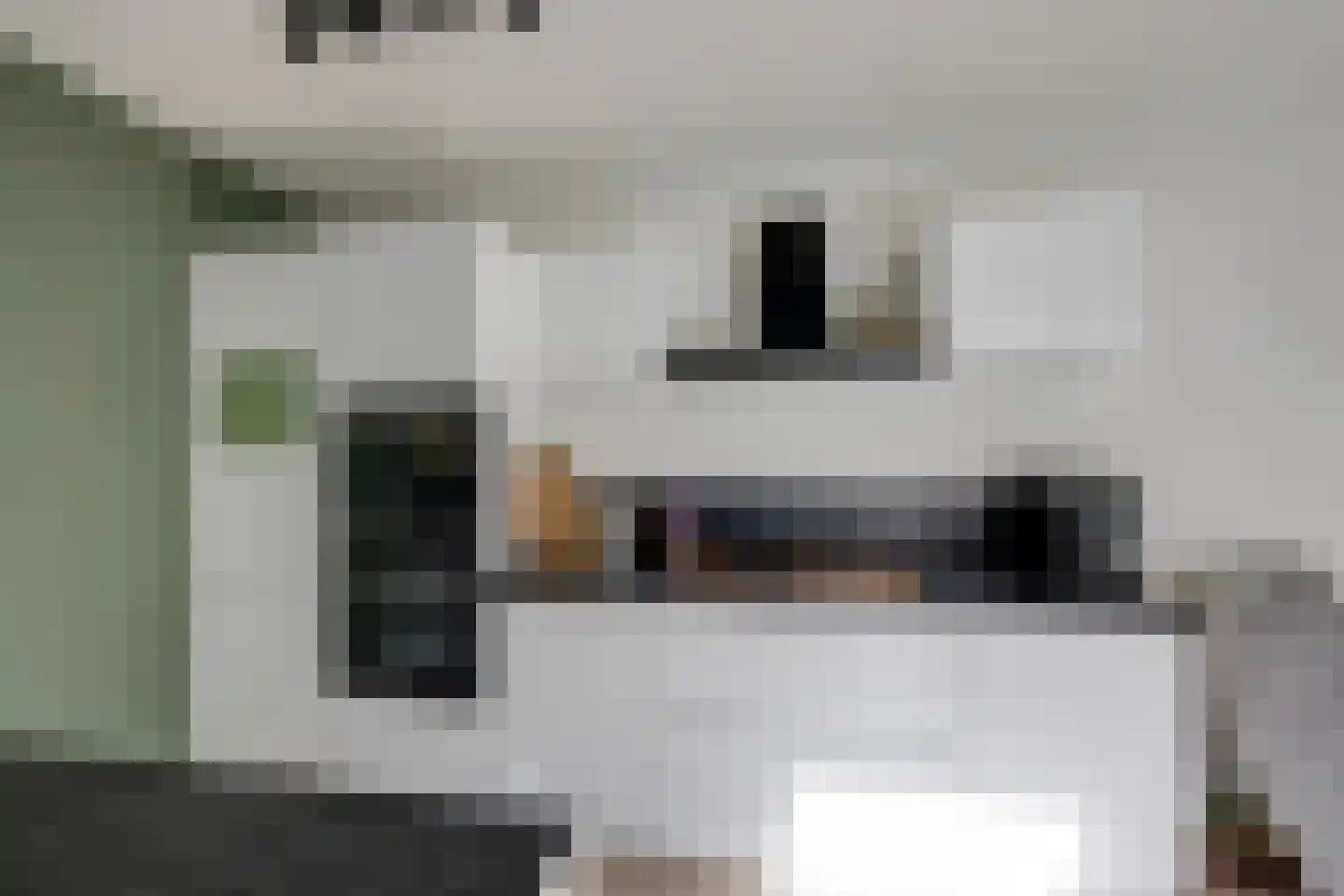 Kamperfoelielaan 7 Berkel-Enschot thumbnail 18