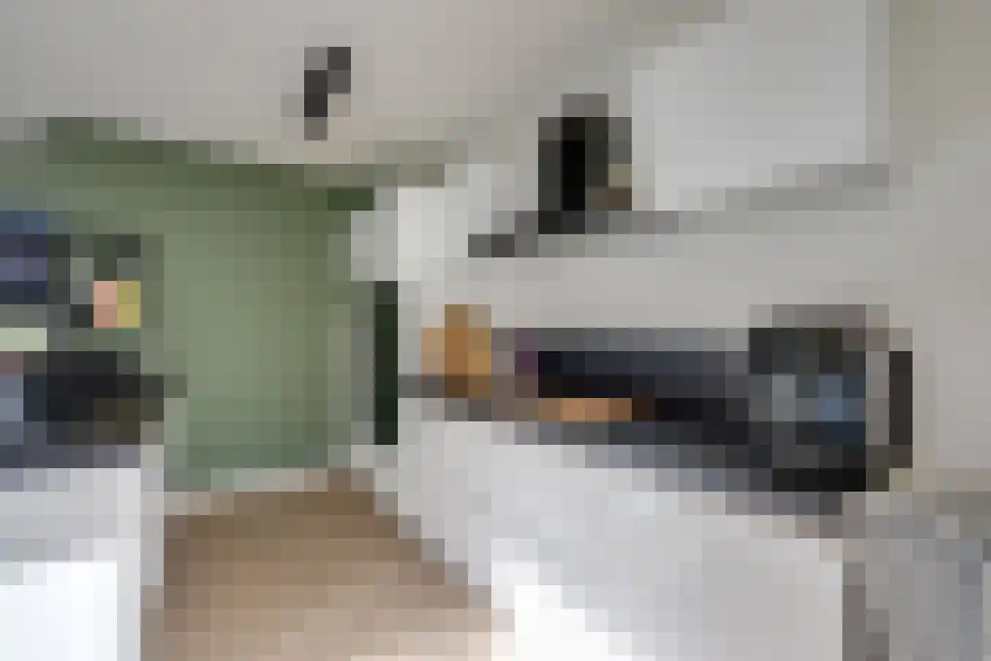 Kamperfoelielaan 7 Berkel-Enschot thumbnail 19