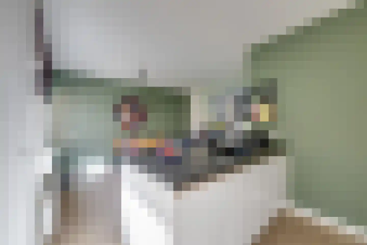 Kamperfoelielaan 7 Berkel-Enschot thumbnail 20