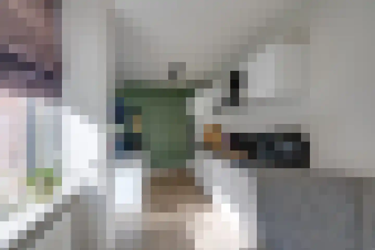 Kamperfoelielaan 7 Berkel-Enschot thumbnail 21
