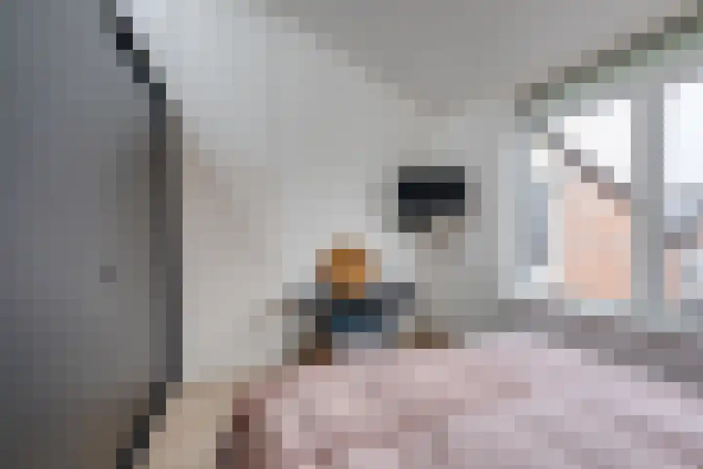 Kamperfoelielaan 7 Berkel-Enschot thumbnail 27