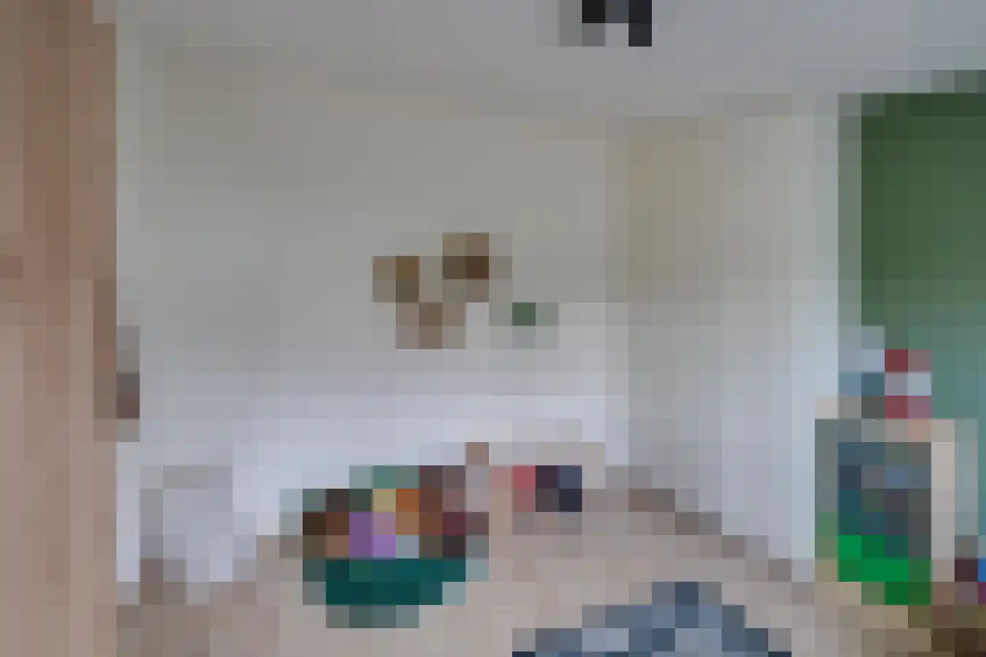 Kamperfoelielaan 7 Berkel-Enschot thumbnail 32