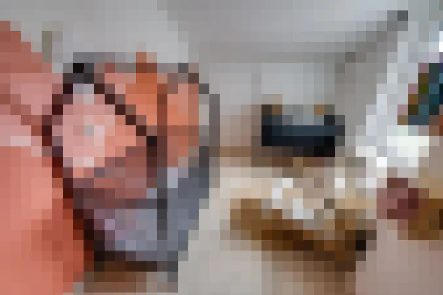 Kamperfoelielaan 7 Berkel-Enschot thumbnail 33