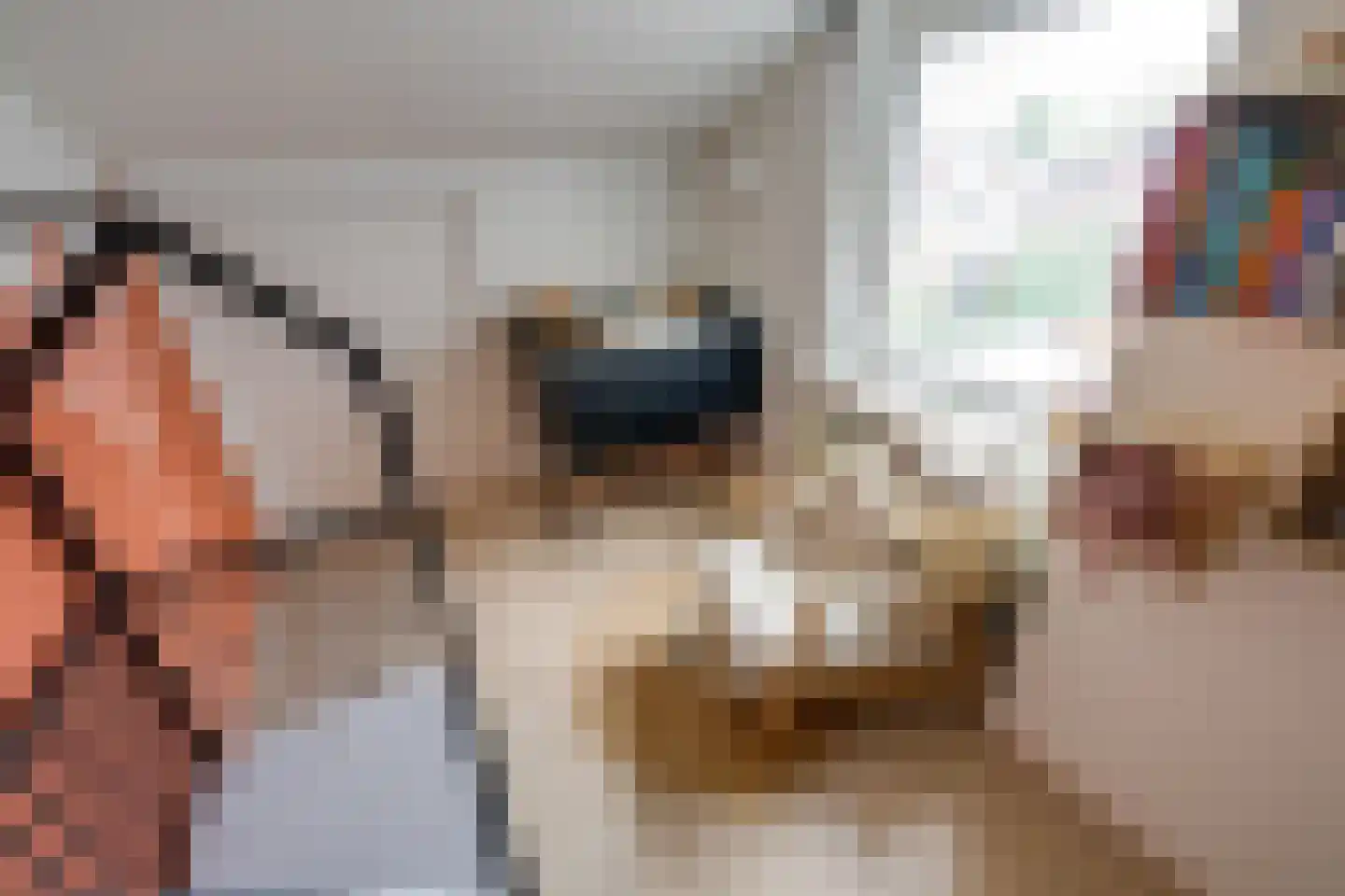 Kamperfoelielaan 7 Berkel-Enschot thumbnail 34