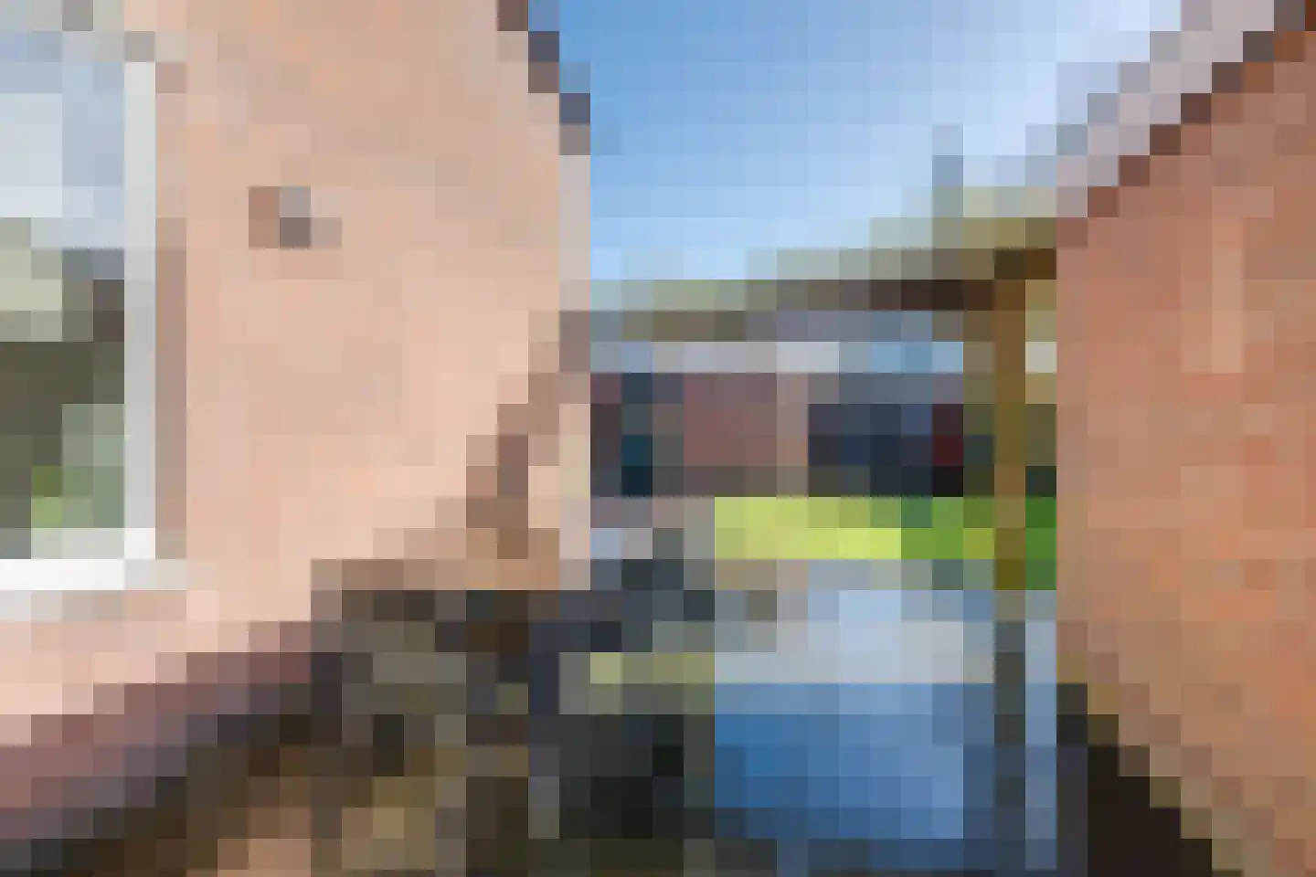 Kamperfoelielaan 7 Berkel-Enschot thumbnail 39