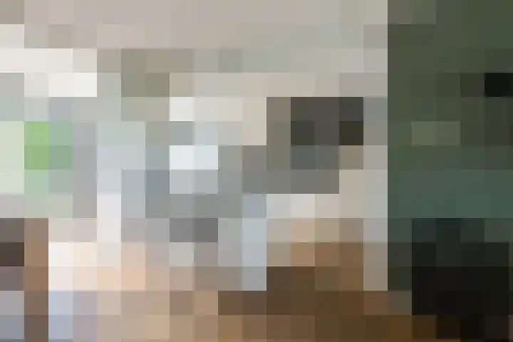 Kamperfoelielaan 7 Oostvoorne thumbnail 12