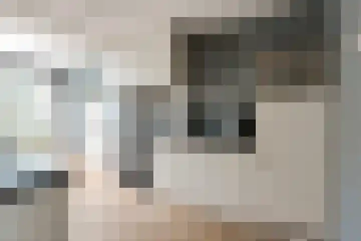 Kamperfoelielaan 7 Oostvoorne thumbnail 13