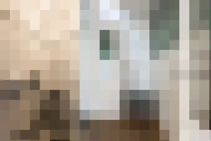 Kamperfoelielaan 7 Oostvoorne thumbnail 16