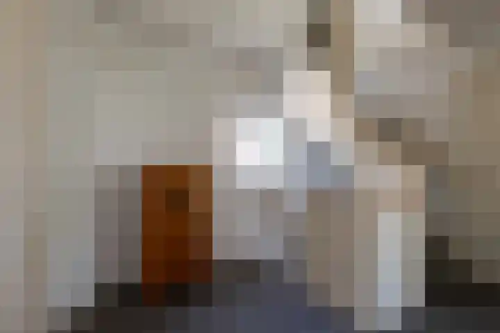 Kamperfoelielaan 7 Oostvoorne thumbnail 17