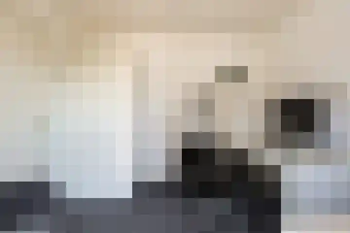 Kamperfoelielaan 7 Oostvoorne thumbnail 19