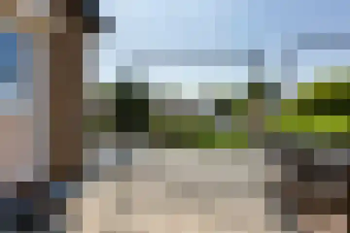 Kamperfoelielaan 7 Oostvoorne thumbnail 20