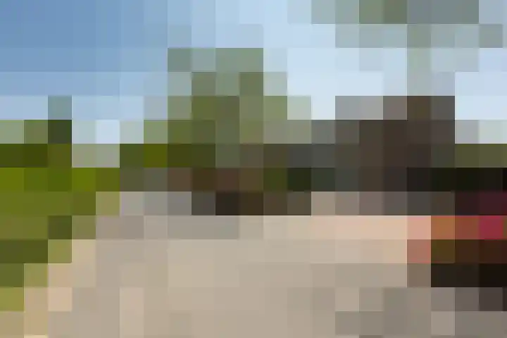 Kamperfoelielaan 7 Oostvoorne thumbnail 31