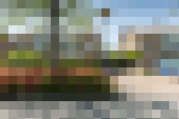 Kamperfoelielaan 7 Oostvoorne thumbnail 32