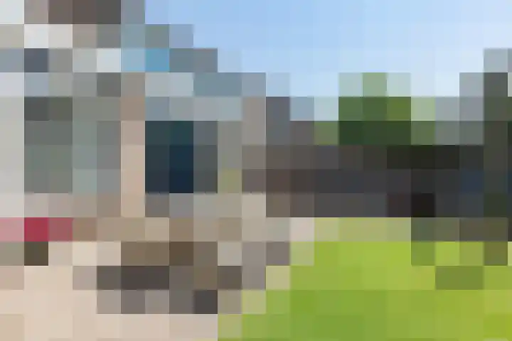 Kamperfoelielaan 7 Oostvoorne thumbnail 34