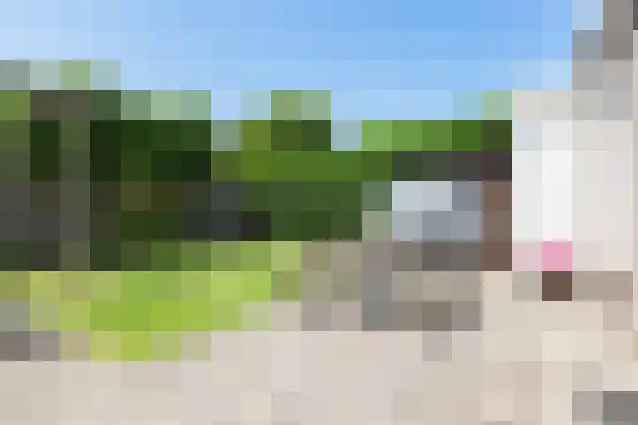 Kamperfoelielaan 7 Oostvoorne thumbnail 35