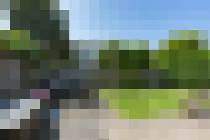 Kamperfoelielaan 7 Oostvoorne thumbnail 37