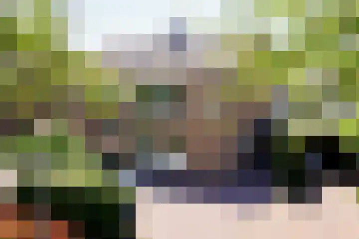 Kamperfoelielaan 7 Oostvoorne thumbnail 4