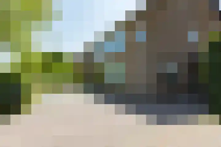 Kamperfoelielaan 7 Oostvoorne thumbnail 40