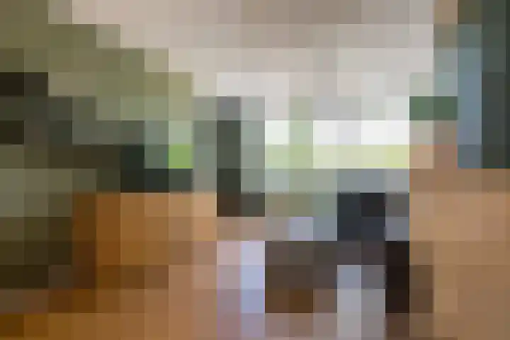 Kamperfoelielaan 7 Oostvoorne thumbnail 7
