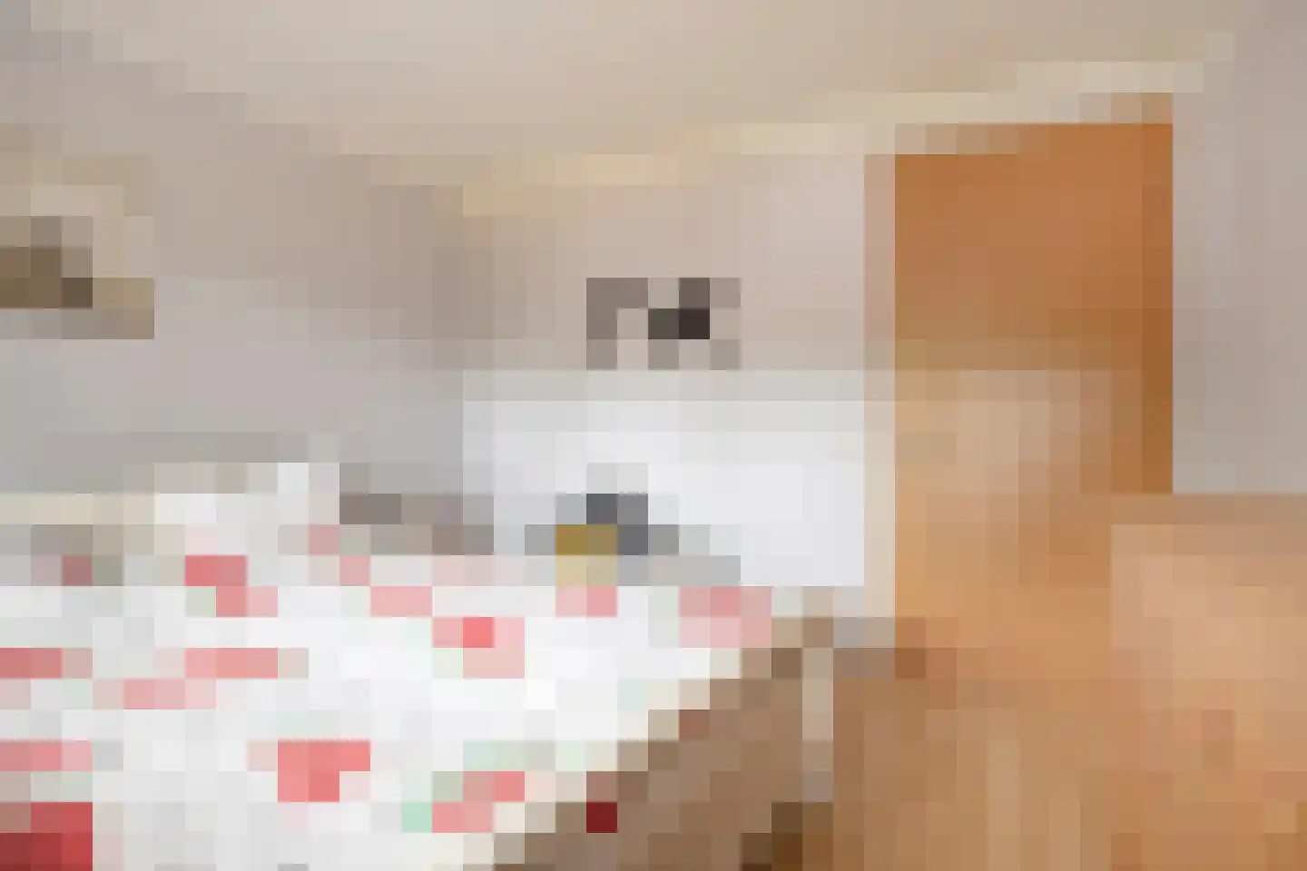 Kamperfoelielaan 8 Marum thumbnail 25