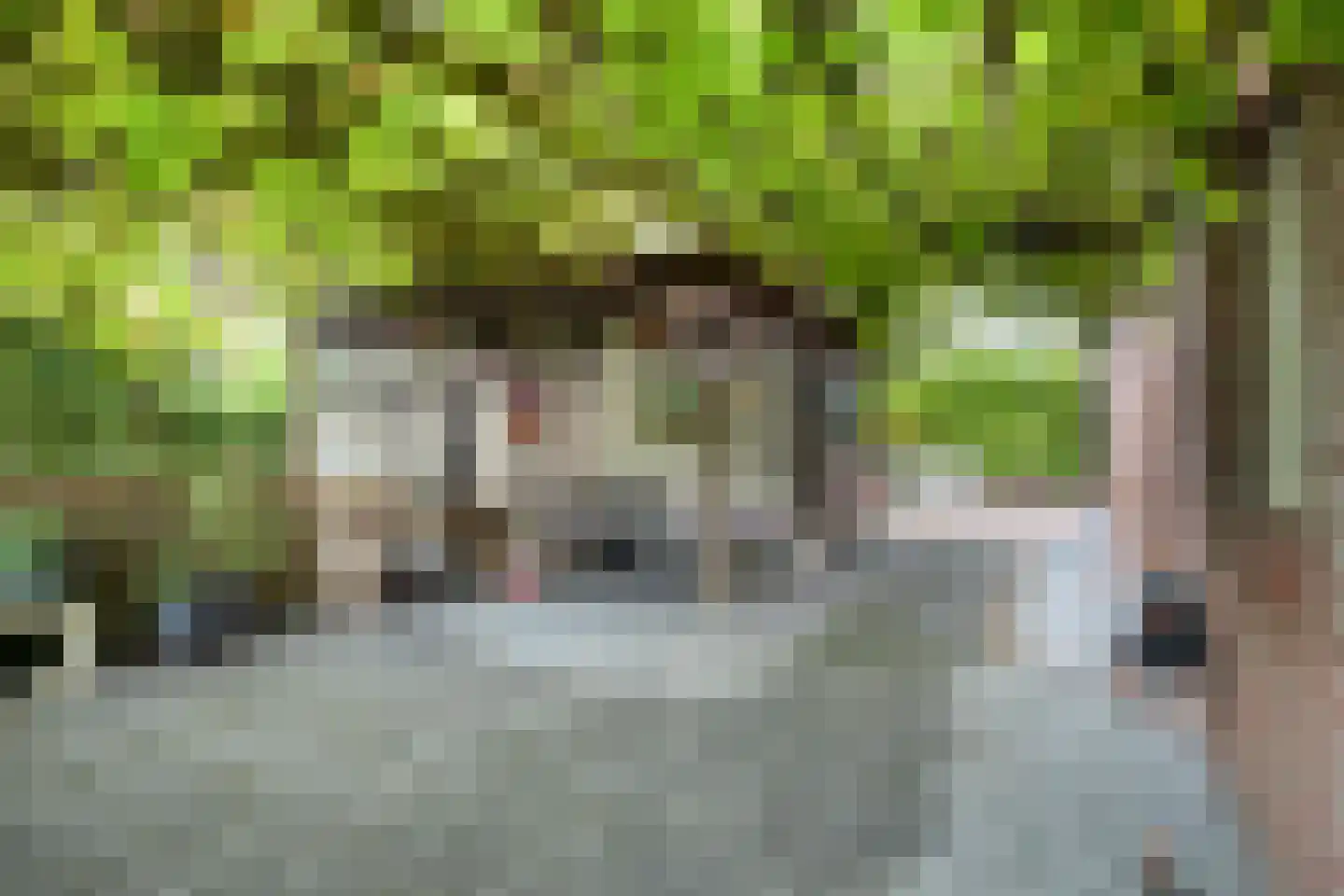 Kamperfoelielaan 8 Marum thumbnail 37