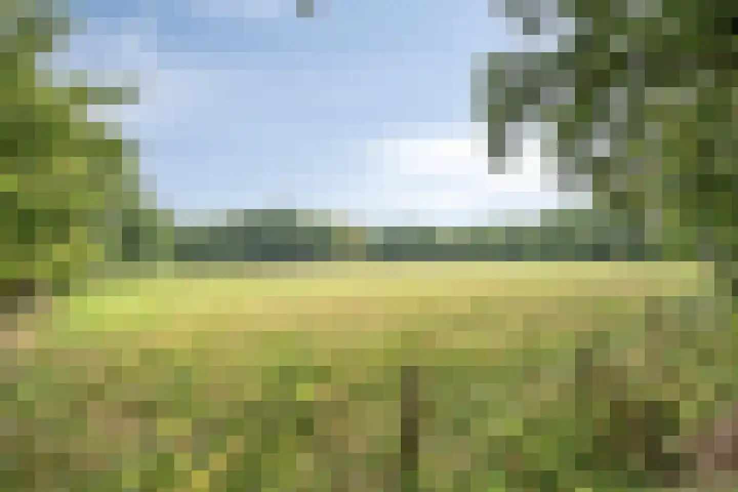Kamperfoelielaan 8 Marum thumbnail 44