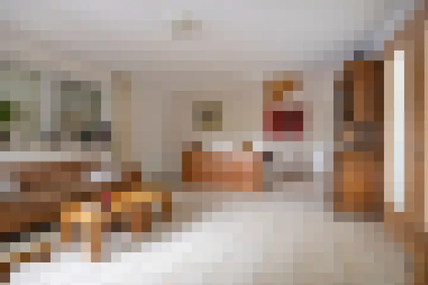 Kamperfoelielaan 8 Marum thumbnail 6