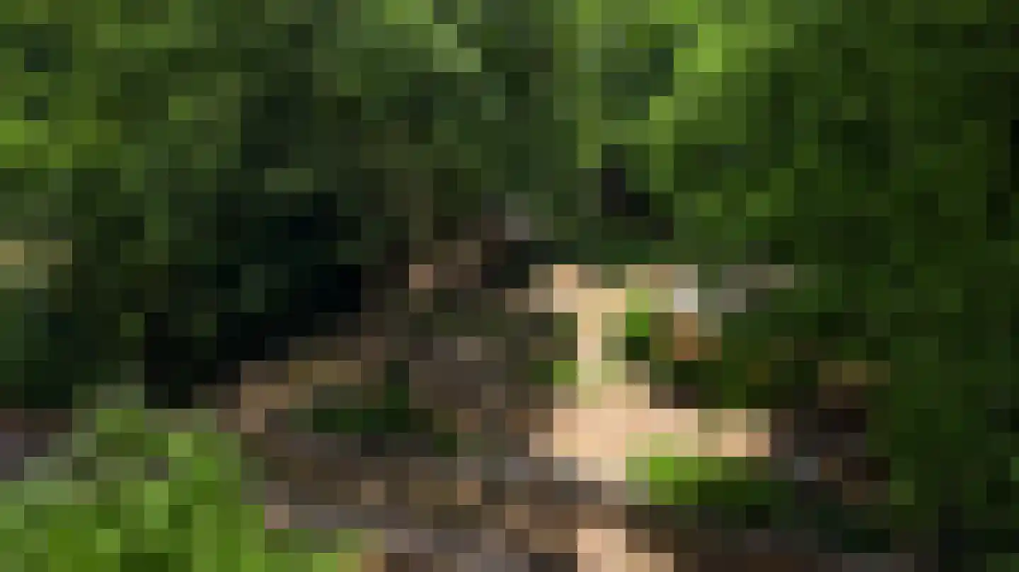 Kamperfoeliepad 4 Wanssum thumbnail 10