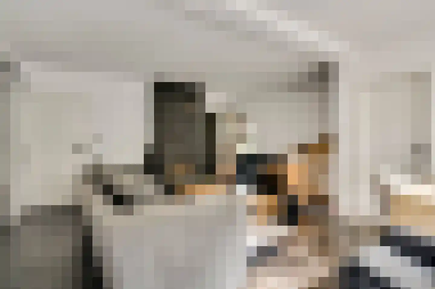Kamperfoeliepad 4 Wanssum thumbnail 14
