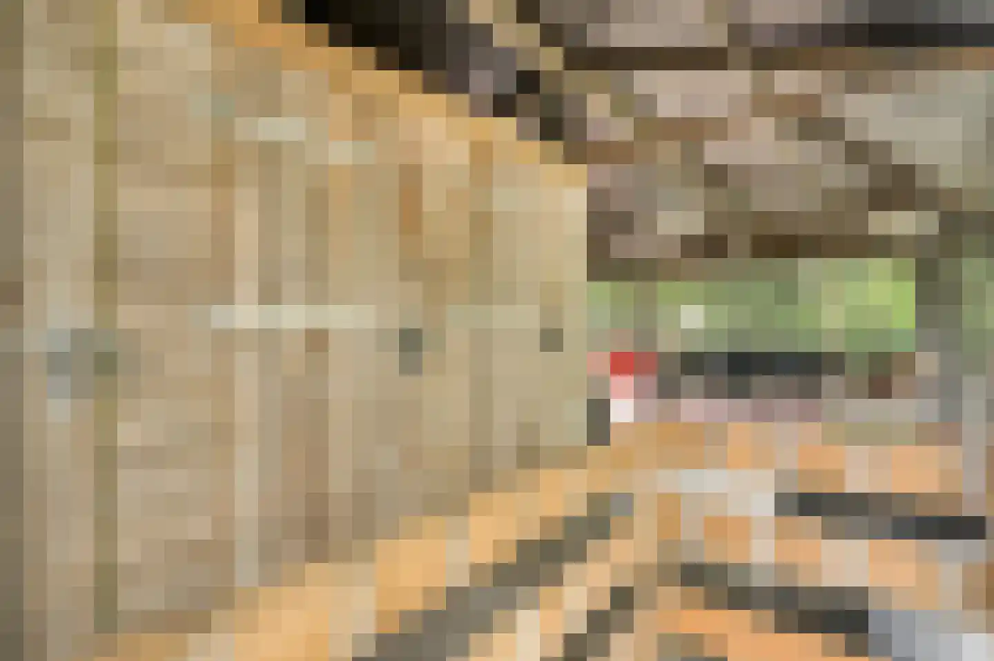 Kamperfoeliepad 4 Wanssum thumbnail 16