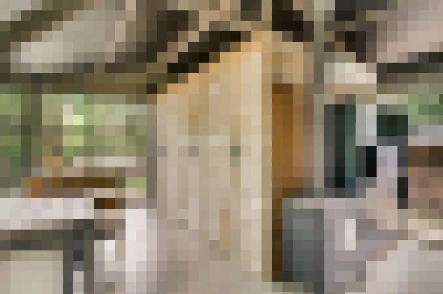 Kamperfoeliepad 4 Wanssum thumbnail 17