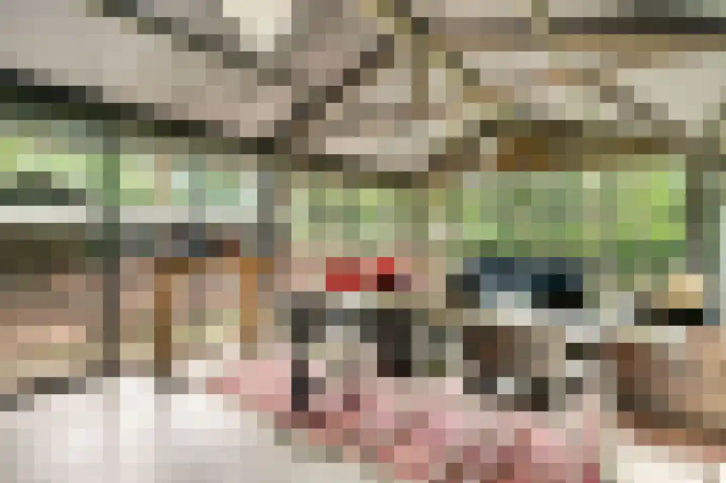 Kamperfoeliepad 4 Wanssum thumbnail 18
