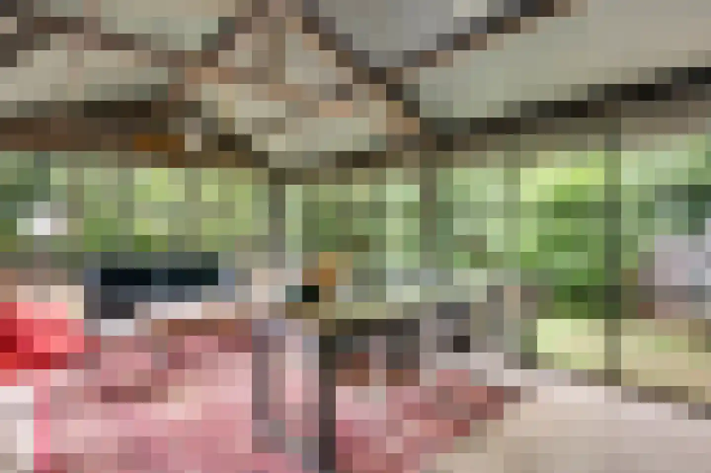Kamperfoeliepad 4 Wanssum thumbnail 19