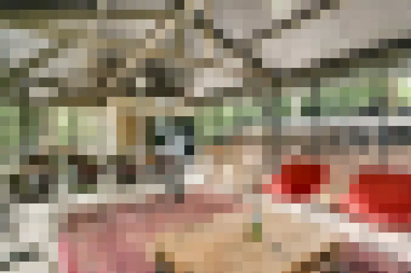 Kamperfoeliepad 4 Wanssum thumbnail 20