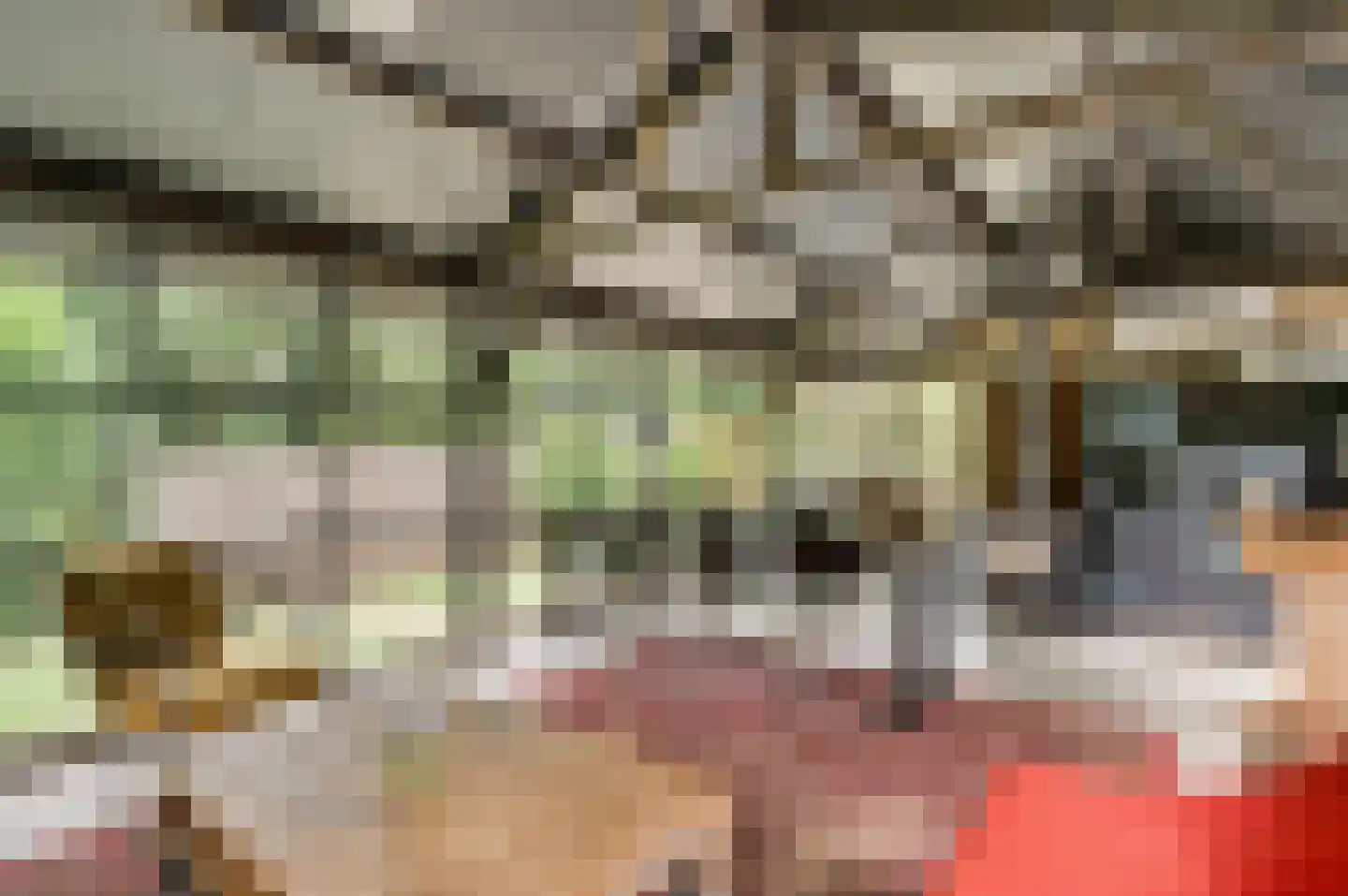 Kamperfoeliepad 4 Wanssum thumbnail 21
