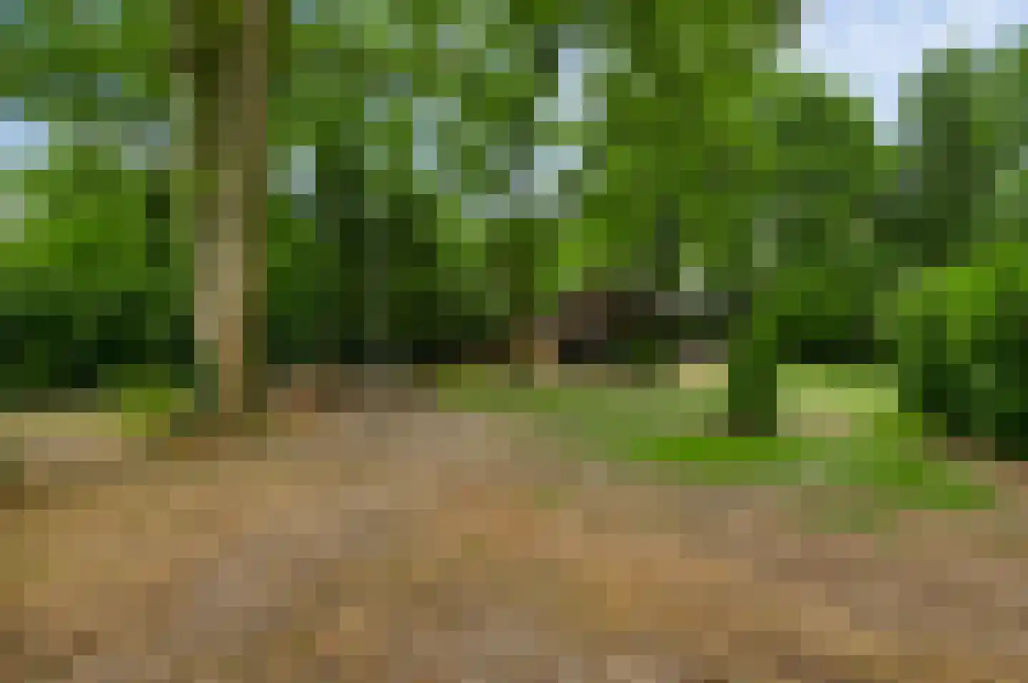 Kamperfoeliepad 4 Wanssum thumbnail 29