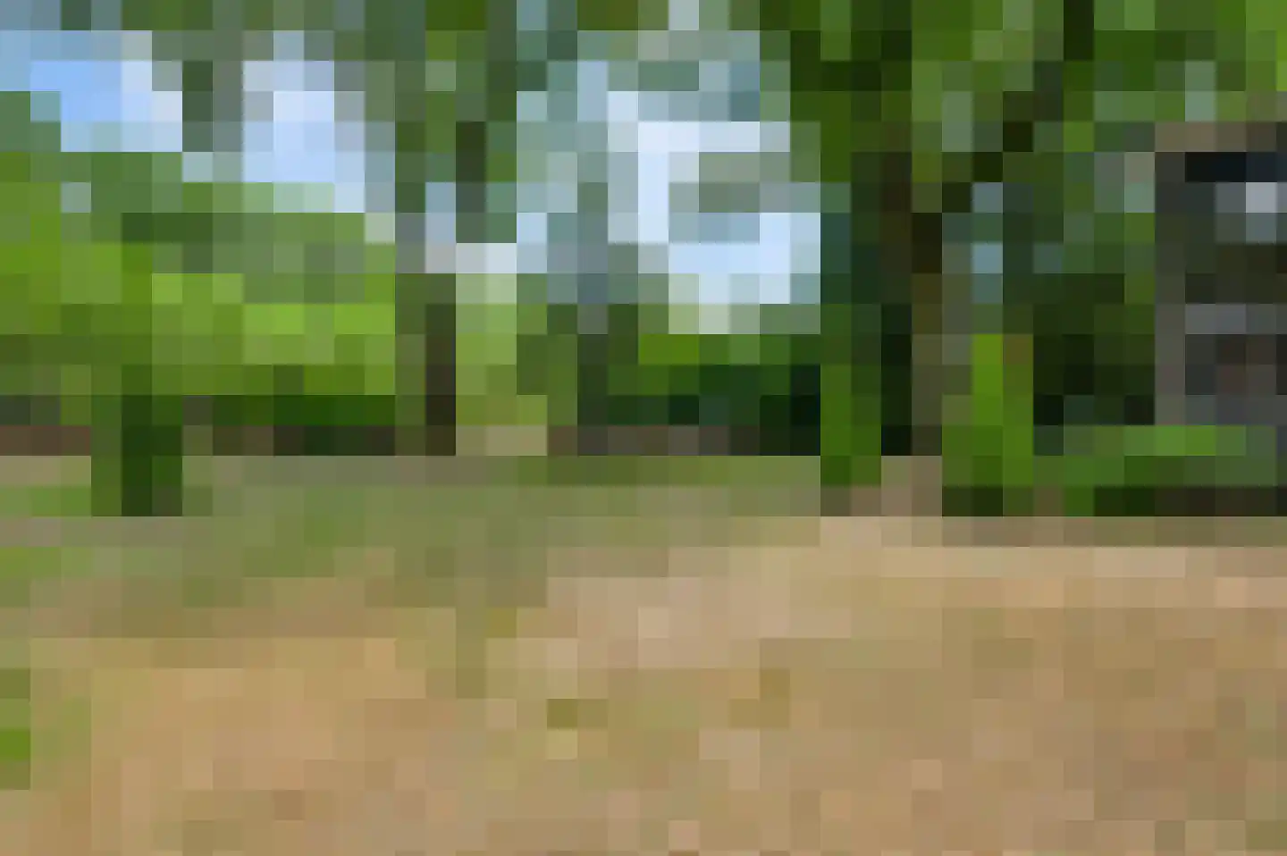Kamperfoeliepad 4 Wanssum thumbnail 31