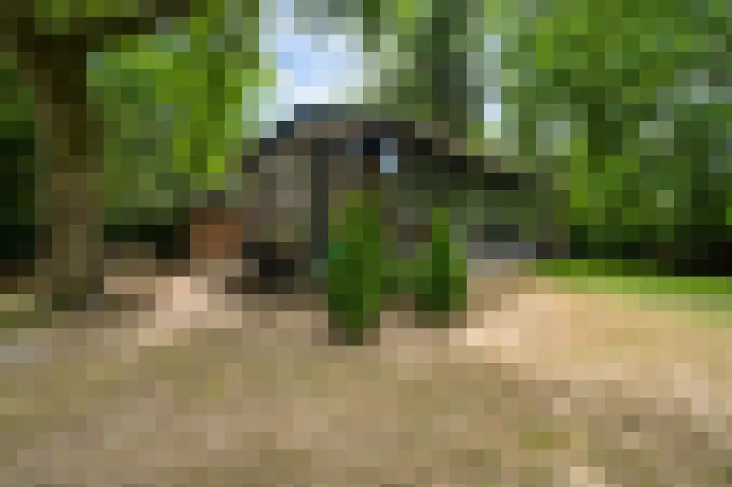 Kamperfoeliepad 4 Wanssum thumbnail 32
