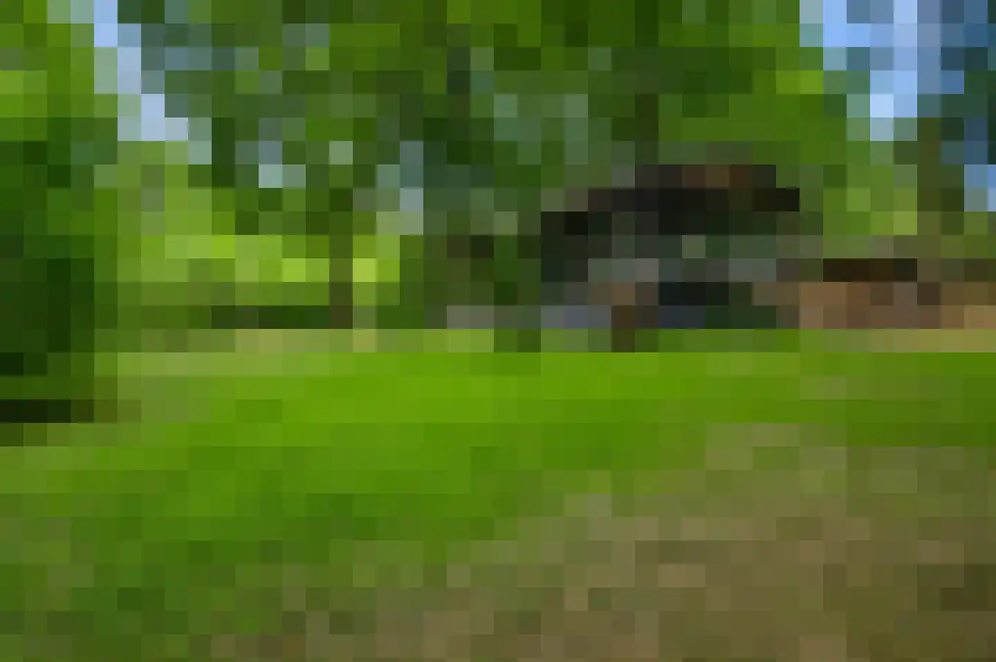 Kamperfoeliepad 4 Wanssum thumbnail 33