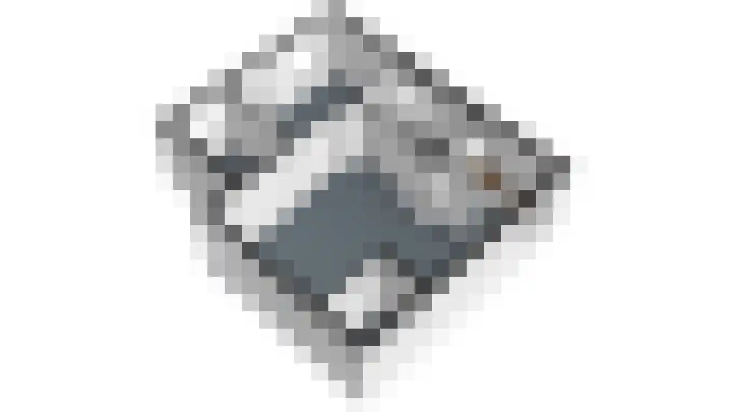 Kamperfoeliepad 4 Wanssum thumbnail 34