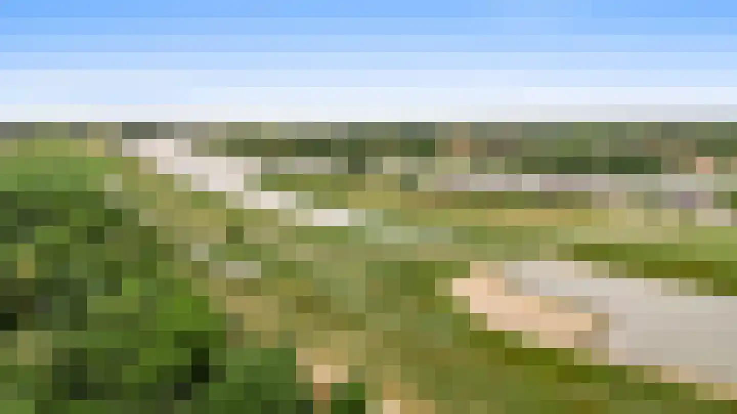 Kamperfoeliepad 4 Wanssum thumbnail 6
