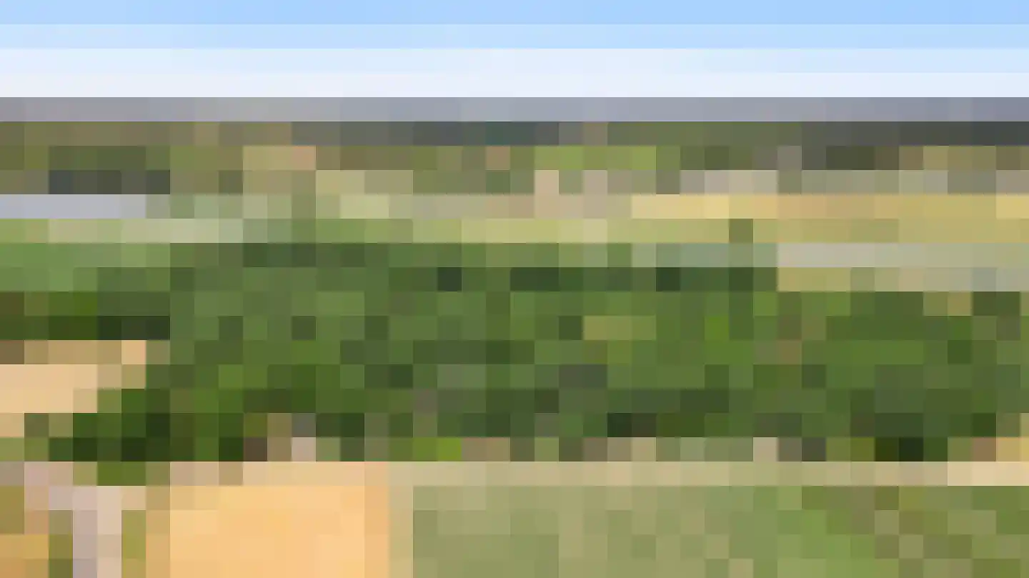 Kamperfoeliepad 4 Wanssum thumbnail 7